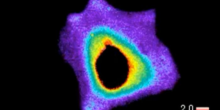 Protein Engineering Tool Gives Scientists Control of Kinases