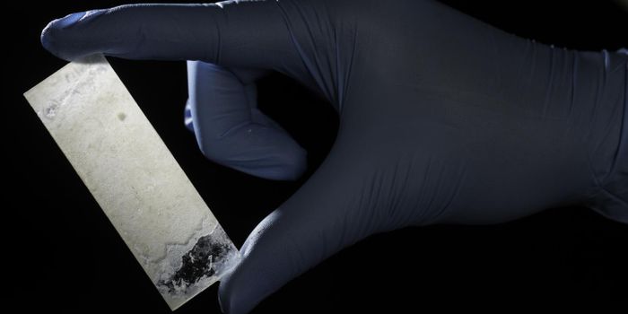 Artificial Mother-of-pearl, Made by Bacteria