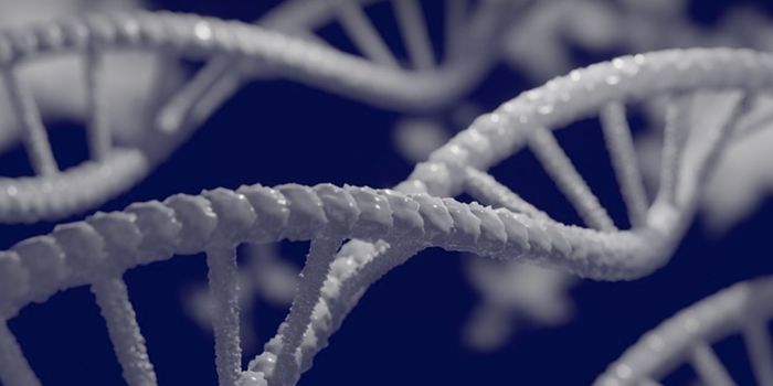 Towards a Complete Understanding of Methylation