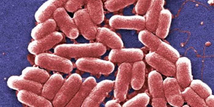 The Impact of Antibiotics on Gut Microbes
