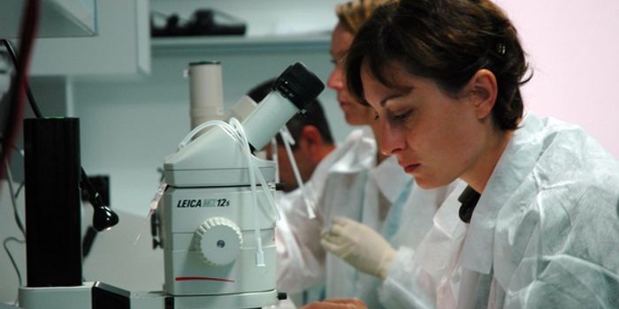 Microscopic Devices Could Deliver Drugs Inside the Body