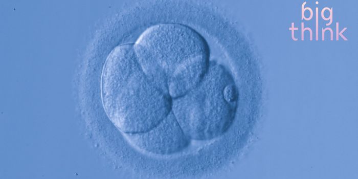 Bill Nye Thinks Women Should Have Control Over Their Own Bodies