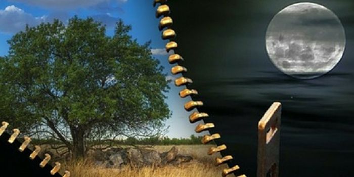 Sleep Cycles Can Influence Academic Performance