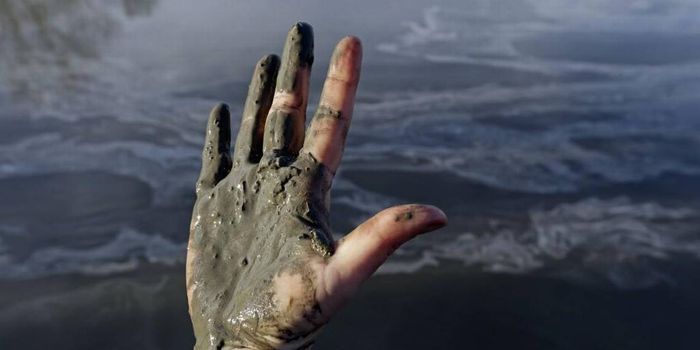 What to do with radioactive Chinese coal ash