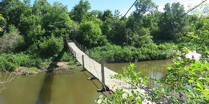 How rivers resist erosion