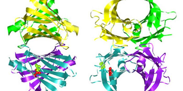 Molecularly Attacking Transthyretin Amyloidosis (ATTR)