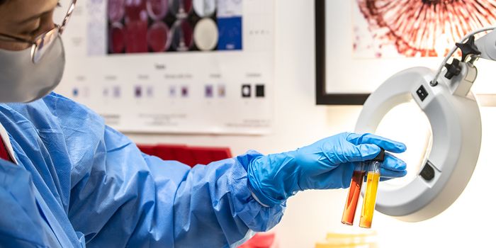 Looking for custom media? We are here to help.