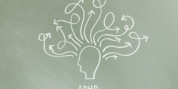 Potential of Medical Cannabis for ADHD Symptom Management