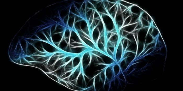 Can Plasma Infusions Treat Alzheimer's Disease?