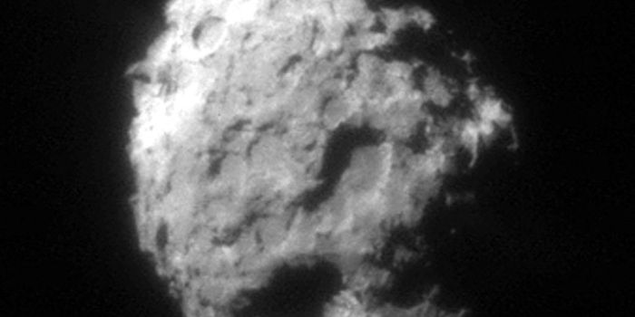 NASA's Stardust Mission Samples Reveals New Secrets of Comet 81P/Wild 2 Comet