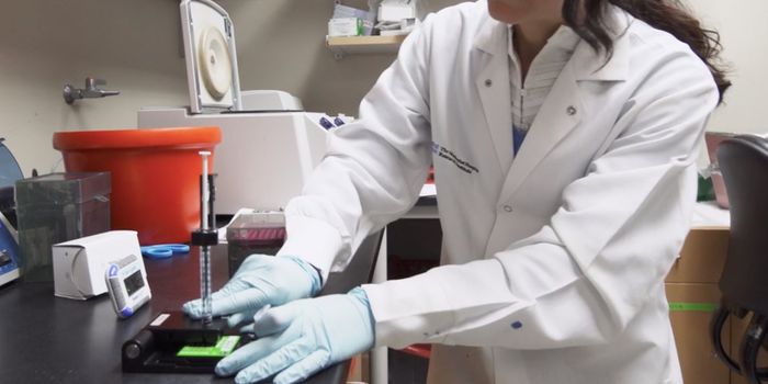 Scientists Learn How a Common Bacterium Turns Deadly