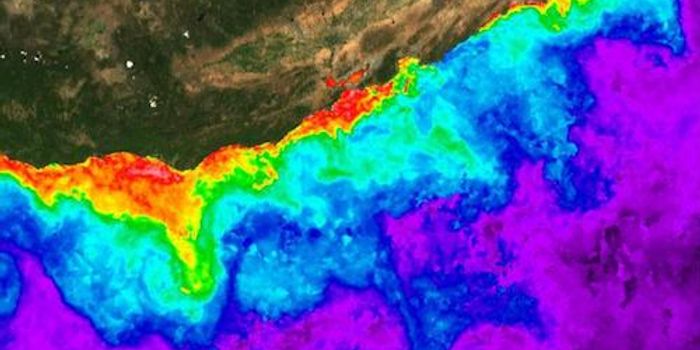 Learning What Causes Algae Blooms to Turn Toxic