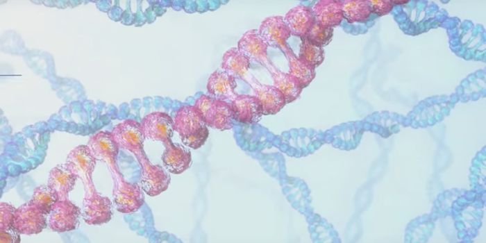 Could Huntington's Disease be Treated Using Gut Bacteria?