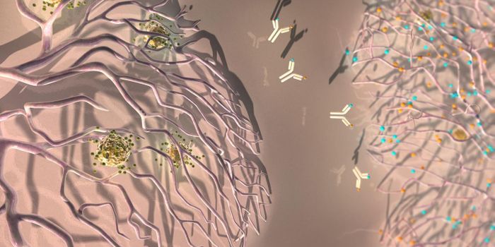 New in Immunotherapy: Blocking Cancer Blood Vessels