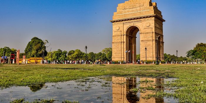 More solar power produced during COVID-19 pandemic