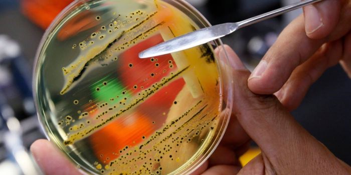 Potential Antidote to Botulism is Found