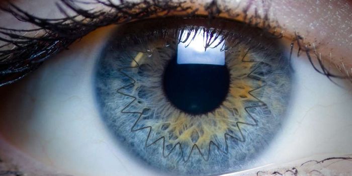 Cytokine "Cocktail" Lowers Risk of Corneal Graft Rejection