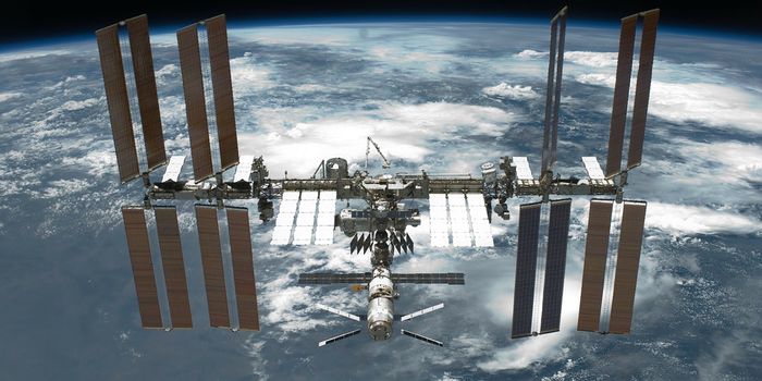 NASA Starts Testing the Waters for a Privatized International Space Station