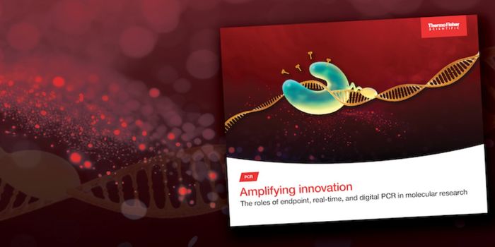 Amplifying innovation: Endpoint, qPCR, and dPCR Explained
