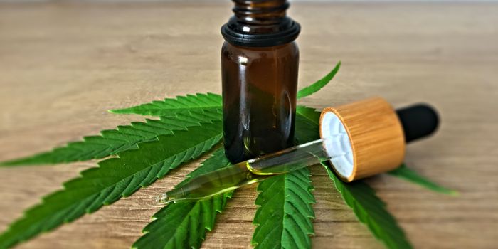 What are the side effects associated with CBD