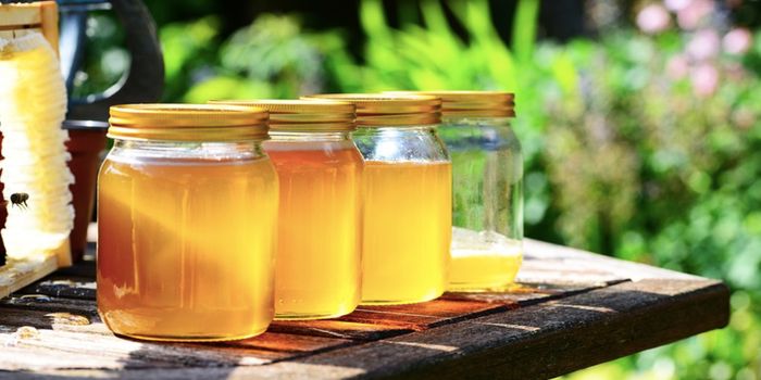 Oxymel - A Honey & Vinegar Mix Has Antibacterial Power