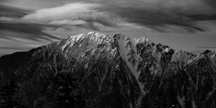 Severe Mental Illness Linked to More Physical Health Problems