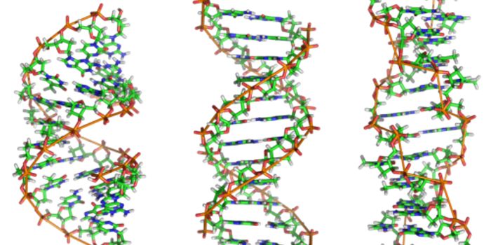 Mutated Gene Increases Insulin Resistance