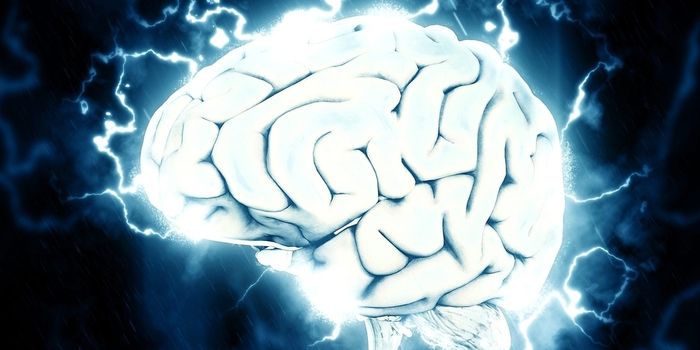 By rewiring circuits, brain stimulation sharpens memory of older people