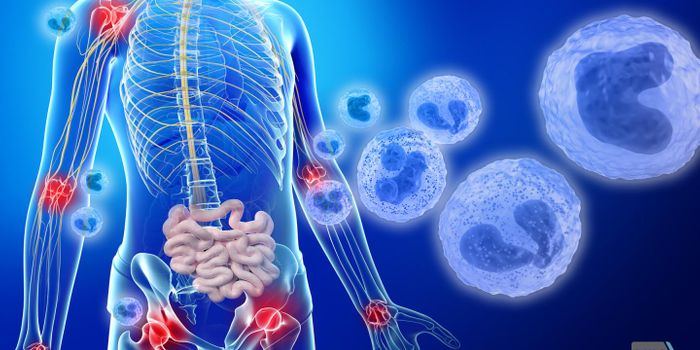 Scientists Discover New Inflammatory Disease: Otulipenia