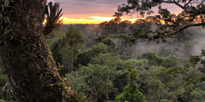 Are our lands really protected?