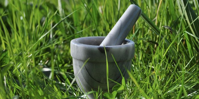 A Samoan Plant May Reduce Inflammation as Well as Ibuprofen