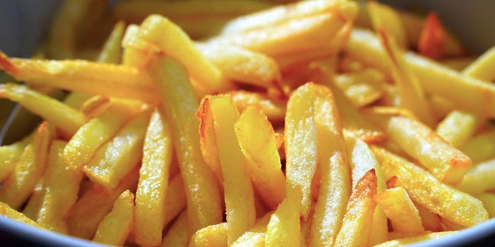 Cravings for Fatty Foods can Come From the Gut