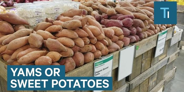 The Difference Between Sweet Potatoes and Yams