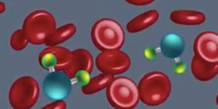 Finding the Neurons That Control Thirst