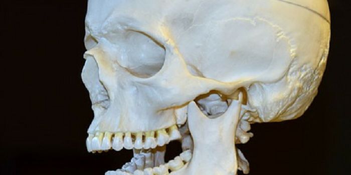 A Runny Nose That Was More Than a Cold