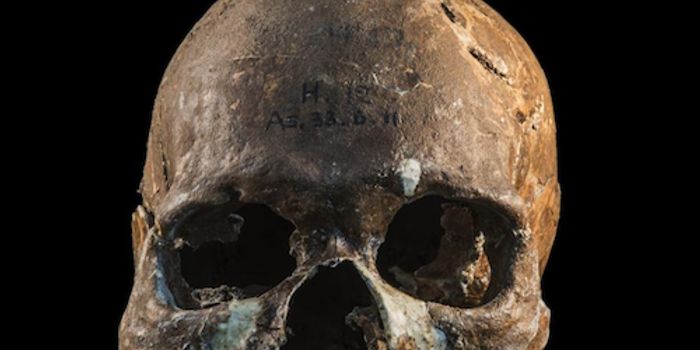 Genetics Settles Debate About History