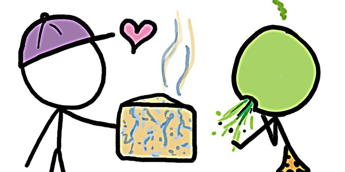 Why we like to eat "spoiled" food