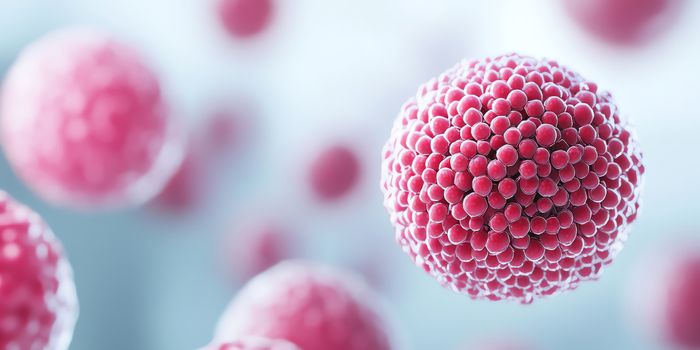 Utilizing a 3D Spheroid Model and Live-Cell Analysis for Compound Profiling