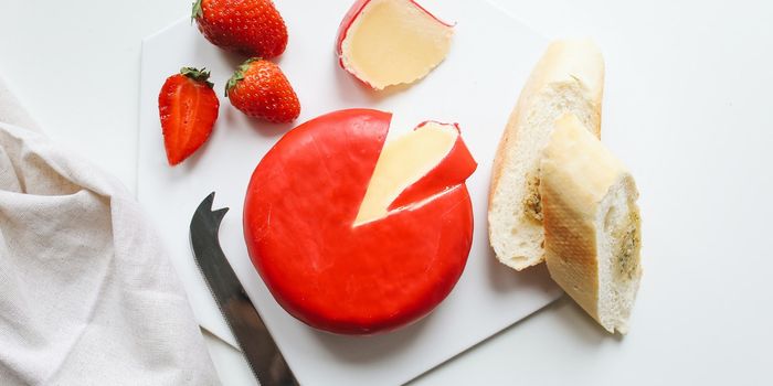 Food-borne Fungus Impedes Gut Healing