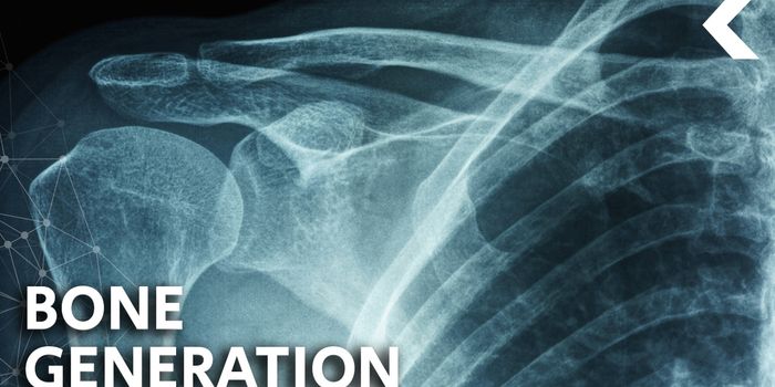 Lab-Grown Bones are Becoming a Reality