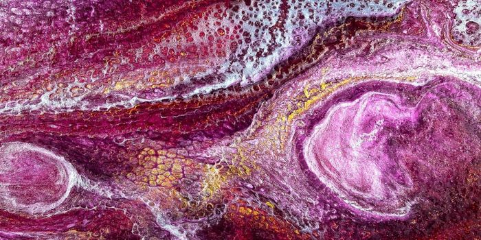 Gut Microbes Make a Metabolite That Increases Inflammation