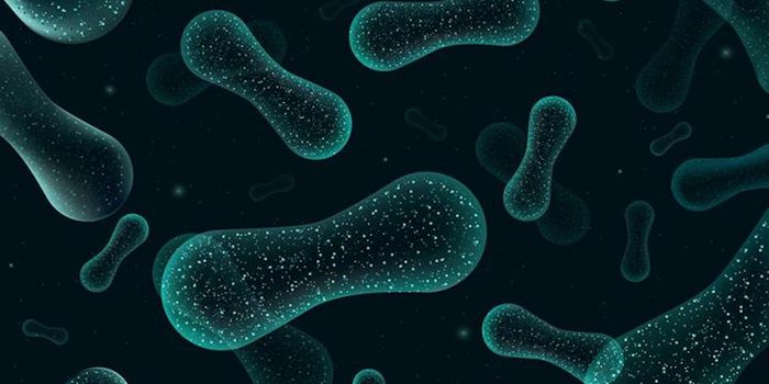 Using the Microbiome to Diagnose or Treat Autism