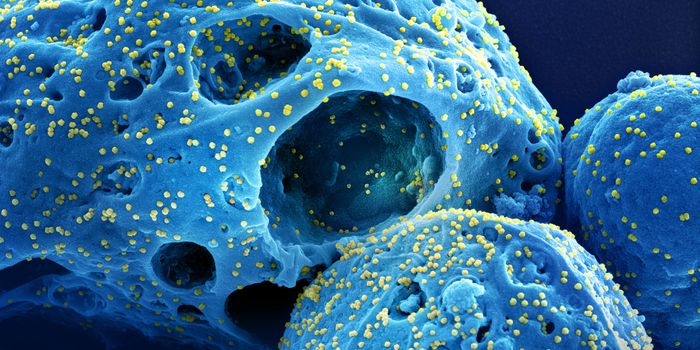 'Kraken' - Will This COVID Subvariant Outcompete Them All?