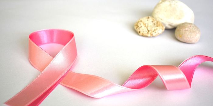 Novel Discovery Uncovers How Tumor 'Stiffness' Promotes Metastasis