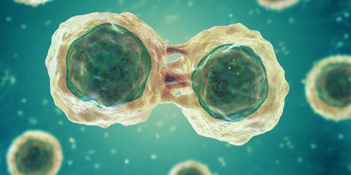 Demystifying the Art of Stem Cell Isolation and Picking