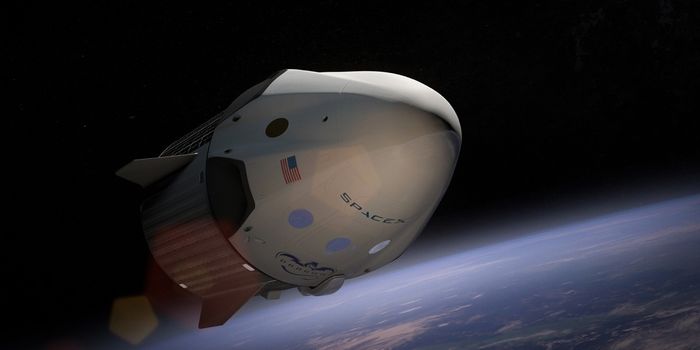 NASA Gives Green Light for Historic Crewed SpaceX Launch