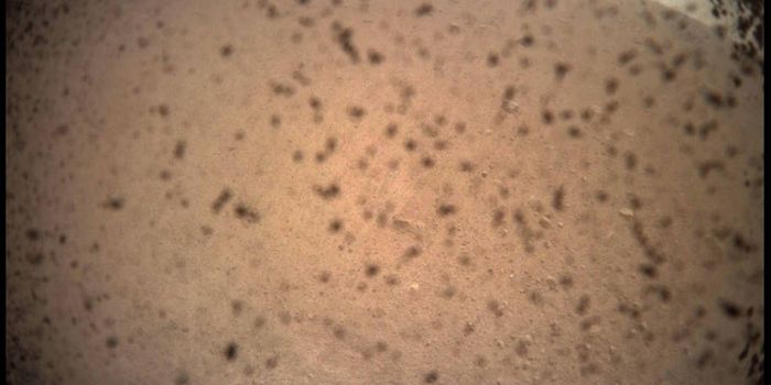 NASA's InSight Lander Safely Touches Down on Mars