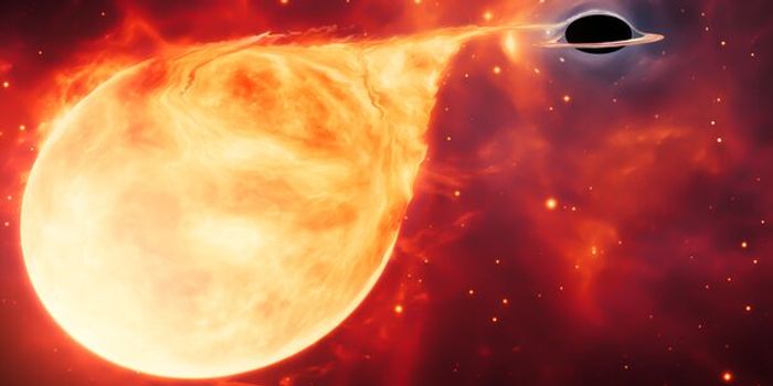 Dwarf Galaxy's Black Hole Revealed Through Star's Demise