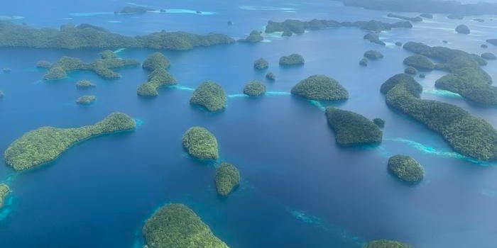 Analysis Reveals Marine Protected Areas Falling Short on Biodiversity Goals