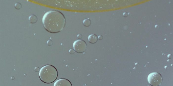 Some Viruses Can Significantly Raise Heart Disease Risk